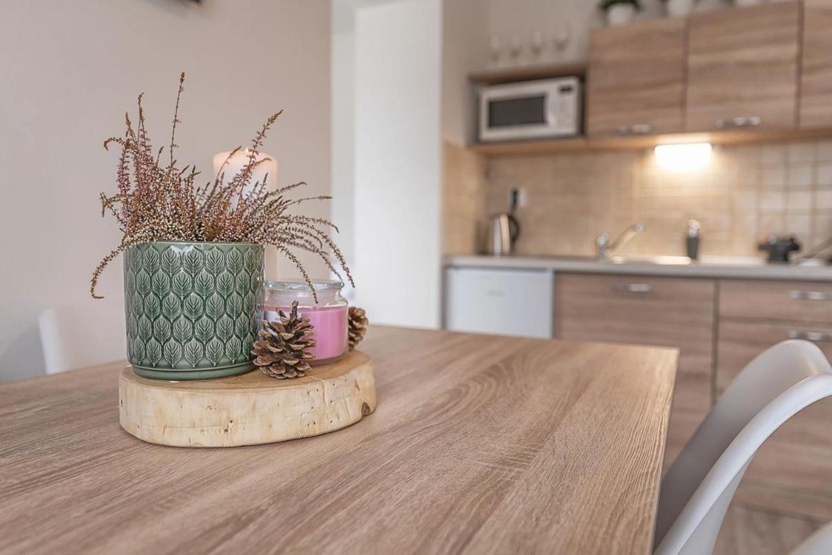 Apartmany Minata Liptovsky Mikulas Ngoại thất bức ảnh